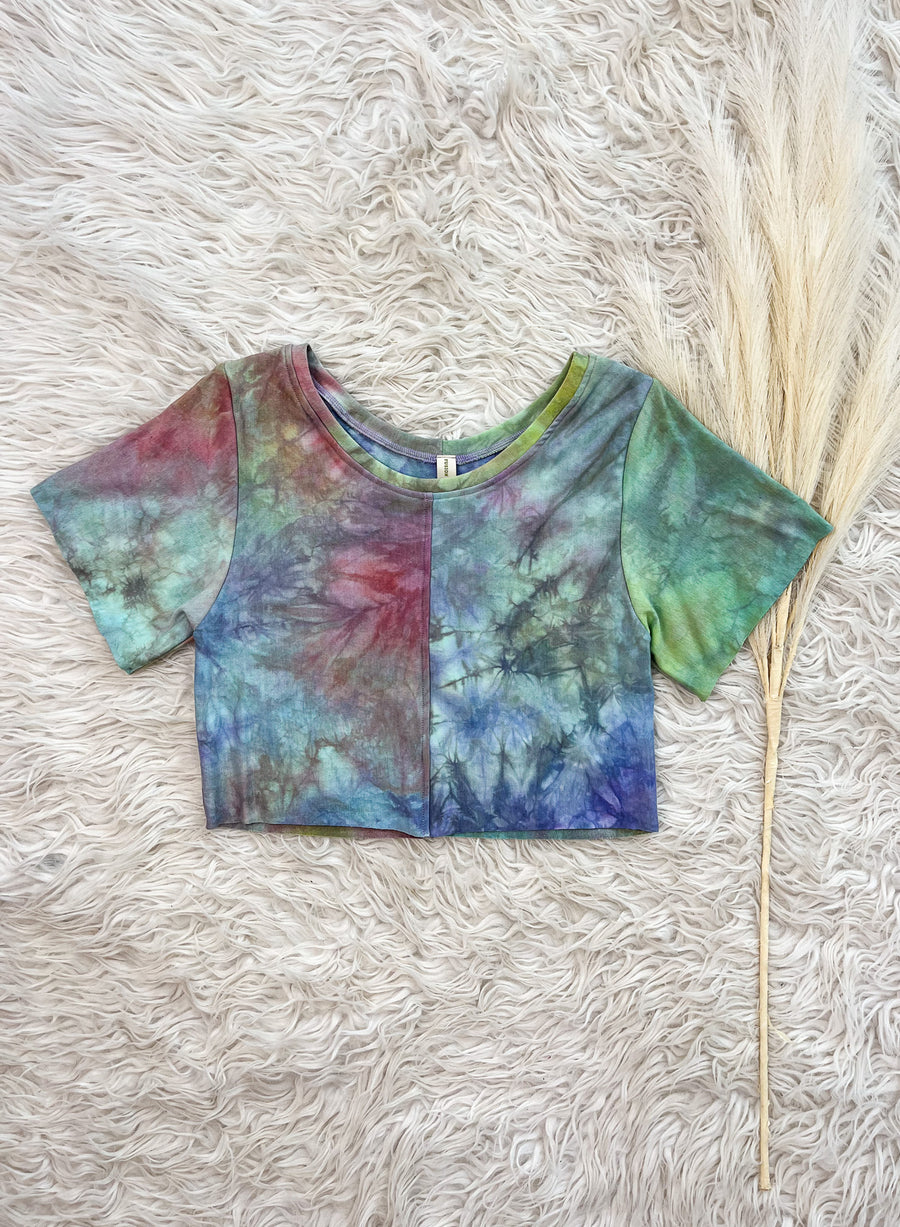 'Iridescence' Gemini Crop